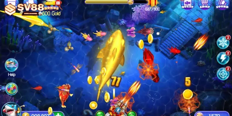 Nhận ngay phần thưởng cực khủng khi tham gia săn cá online